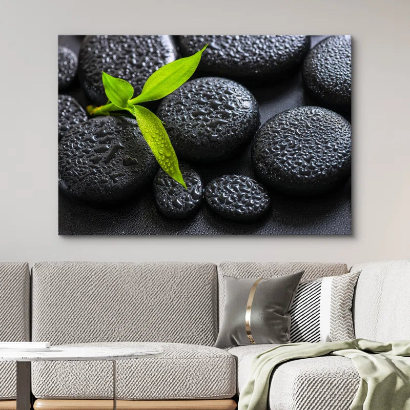 Zen Stones " Rain Drops over Black Rocks and a Little Green Plant "