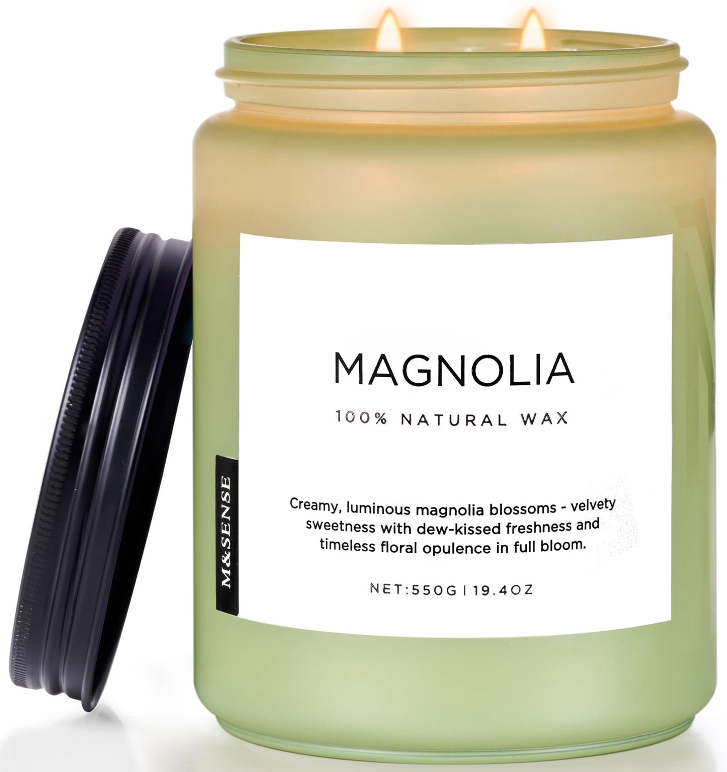 M&SENSE Mango Pineapple Scented Candle, 19.4oz Non Toxic Natural Soy Wax 110 Hours Long Lasting Burn Fruit Scent Summer Gifts for Housewarming, 2 Wick Aromatherapy Candle for Women Men Family Friends