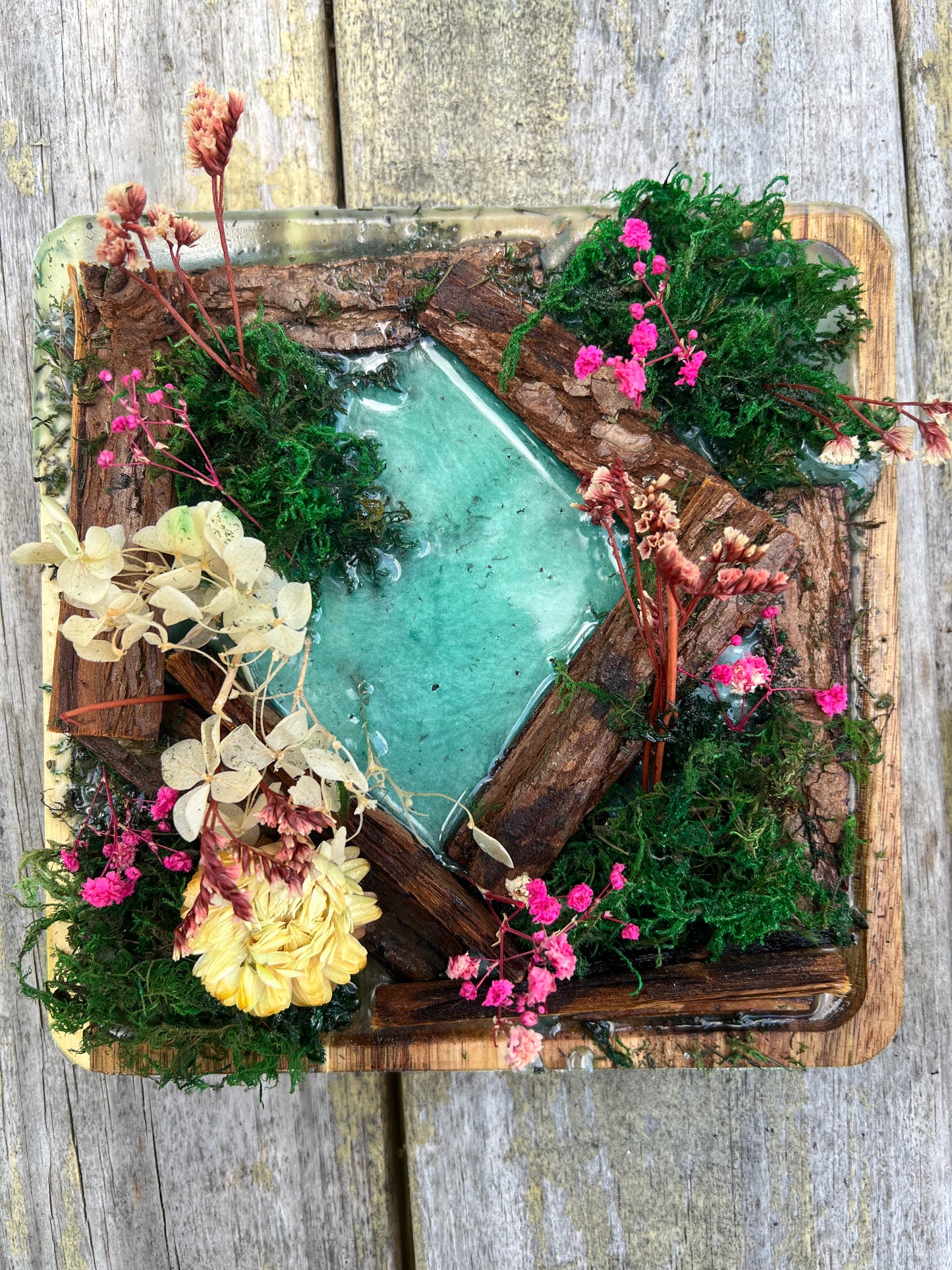 Live Plant Coffee Table Centerpiece with Two Coasters