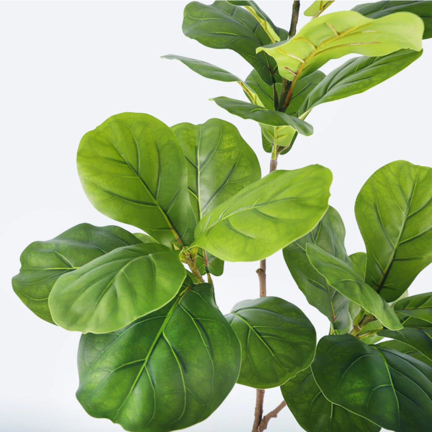 76-135cm(53.1in) Artificial Ficus Tree Moraceae Plants Tropical Banyan Leaves For Indoor Outdoor Office Room Farmhouse Bonsai