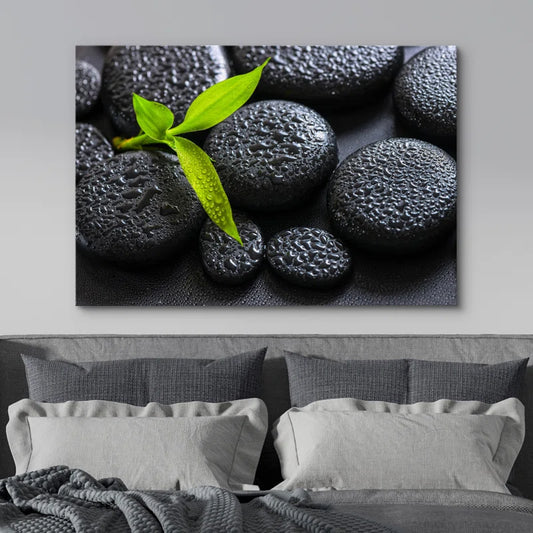 Zen Stones " Rain Drops over Black Rocks and a Little Green Plant "