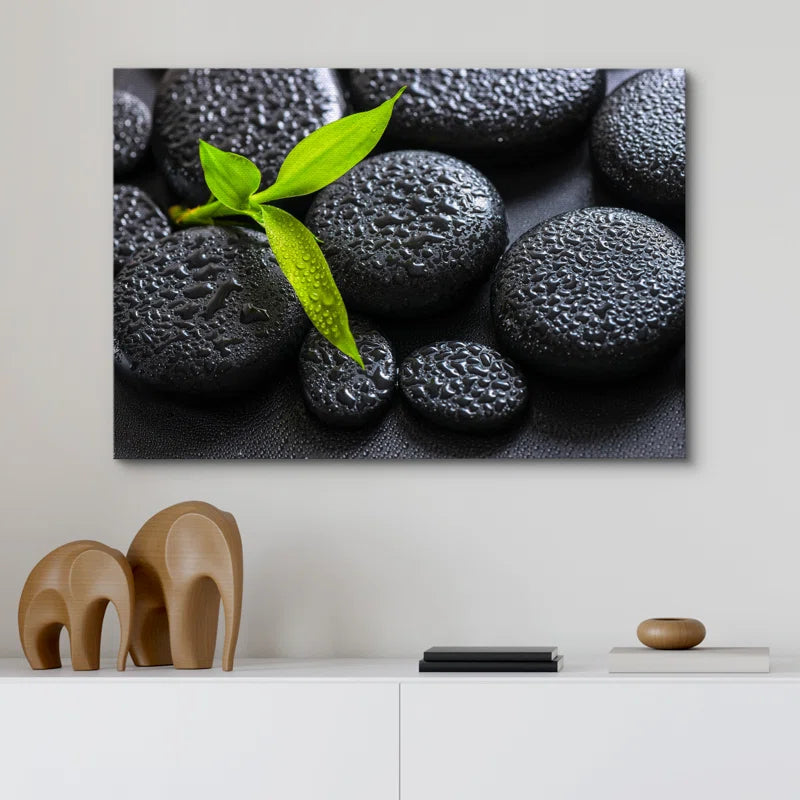 Zen Stones " Rain Drops over Black Rocks and a Little Green Plant "