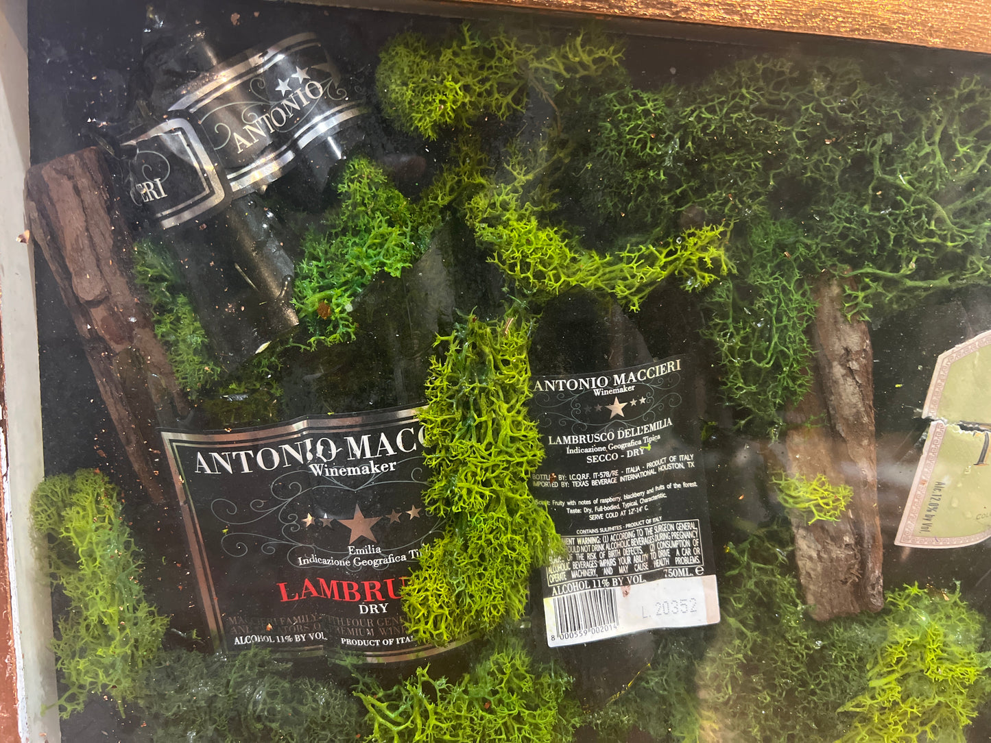 Elegant Moss-Embedded Display Case with Assorted Miniature Bottles