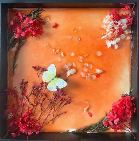Live Nature-Inspired Art in Black Frame with Real Plants and Butterfly