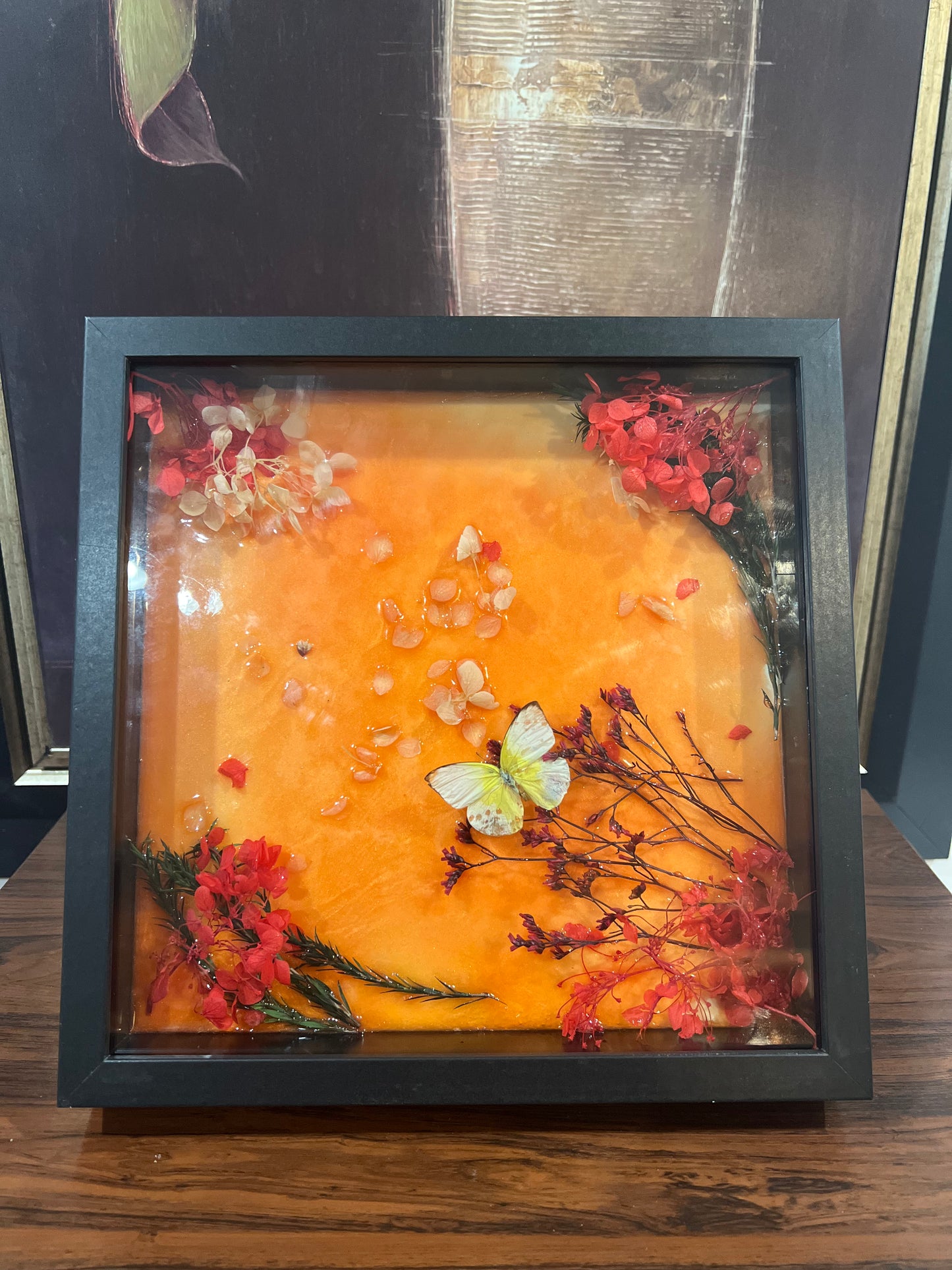 Live Nature-Inspired Art in Black Frame with Real Plants and Butterfly