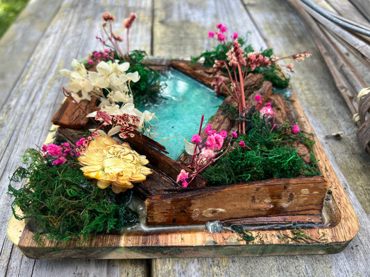 Live Plant Coffee Table Centerpiece with Two Coasters