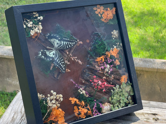 Framed Butterfly Diorama – Black Shadow Box with Preserved Butterfly and Dried Florals