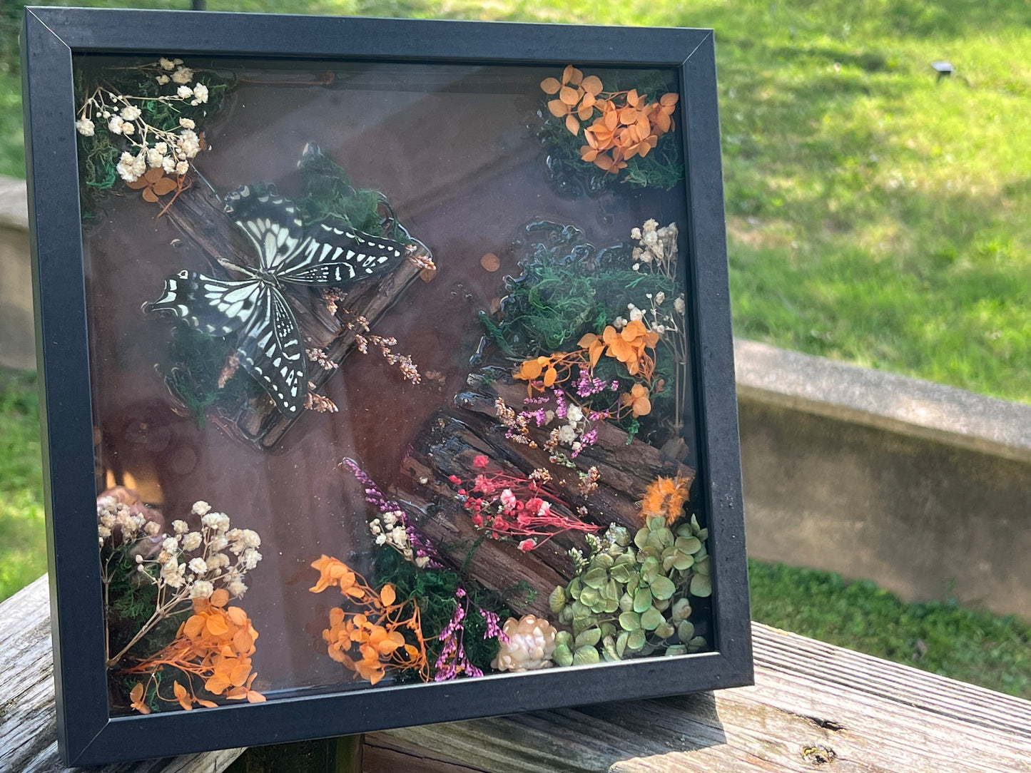 Framed Butterfly Diorama – Black Shadow Box with Preserved Butterfly and Dried Florals