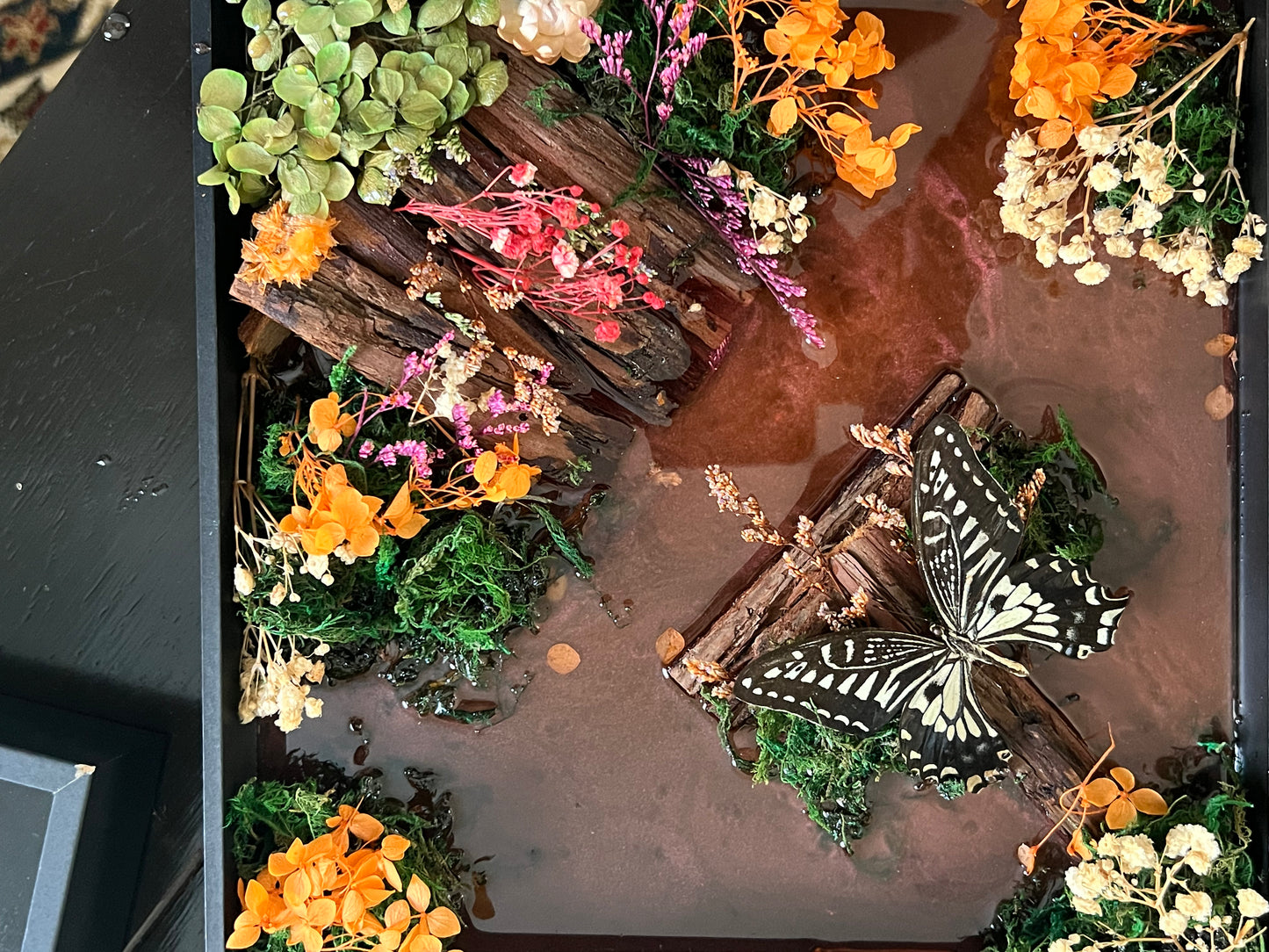 Framed Butterfly Diorama – Black Shadow Box with Preserved Butterfly and Dried Florals