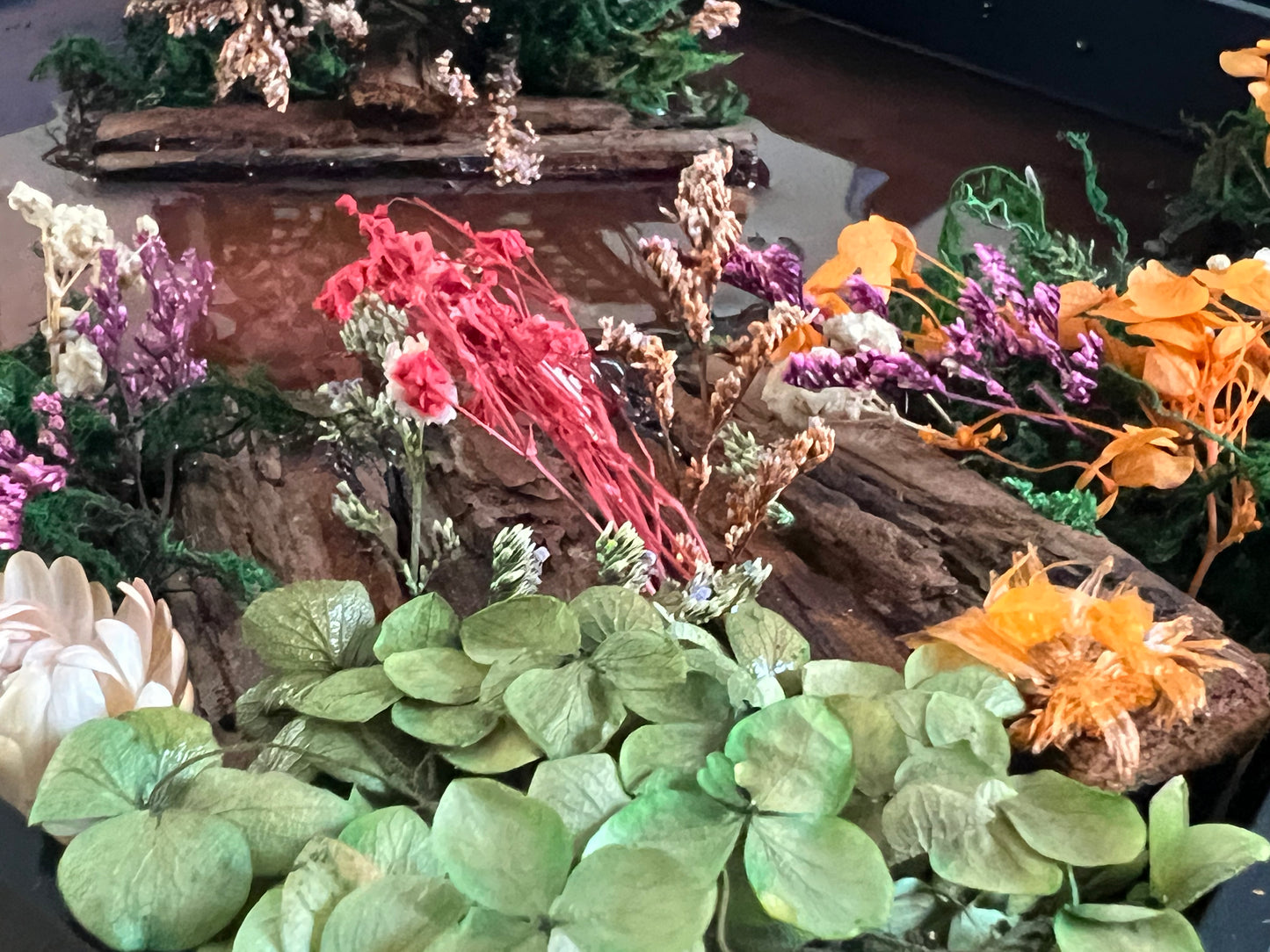 Framed Butterfly Diorama – Black Shadow Box with Preserved Butterfly and Dried Florals