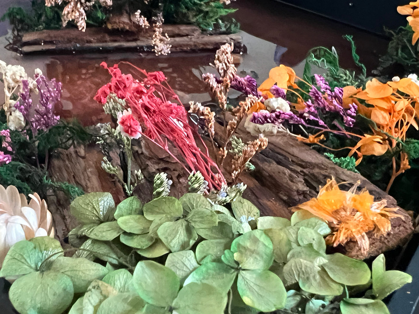 Framed Butterfly Diorama – Black Shadow Box with Preserved Butterfly and Dried Florals