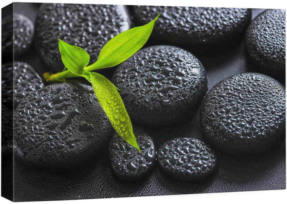 Zen Stones " Rain Drops over Black Rocks and a Little Green Plant "